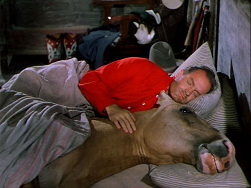 Bob Hope in 1952's Son of Paleface