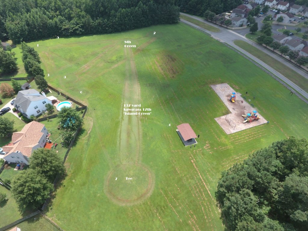 SawGrass Ultimate Movie Rankings