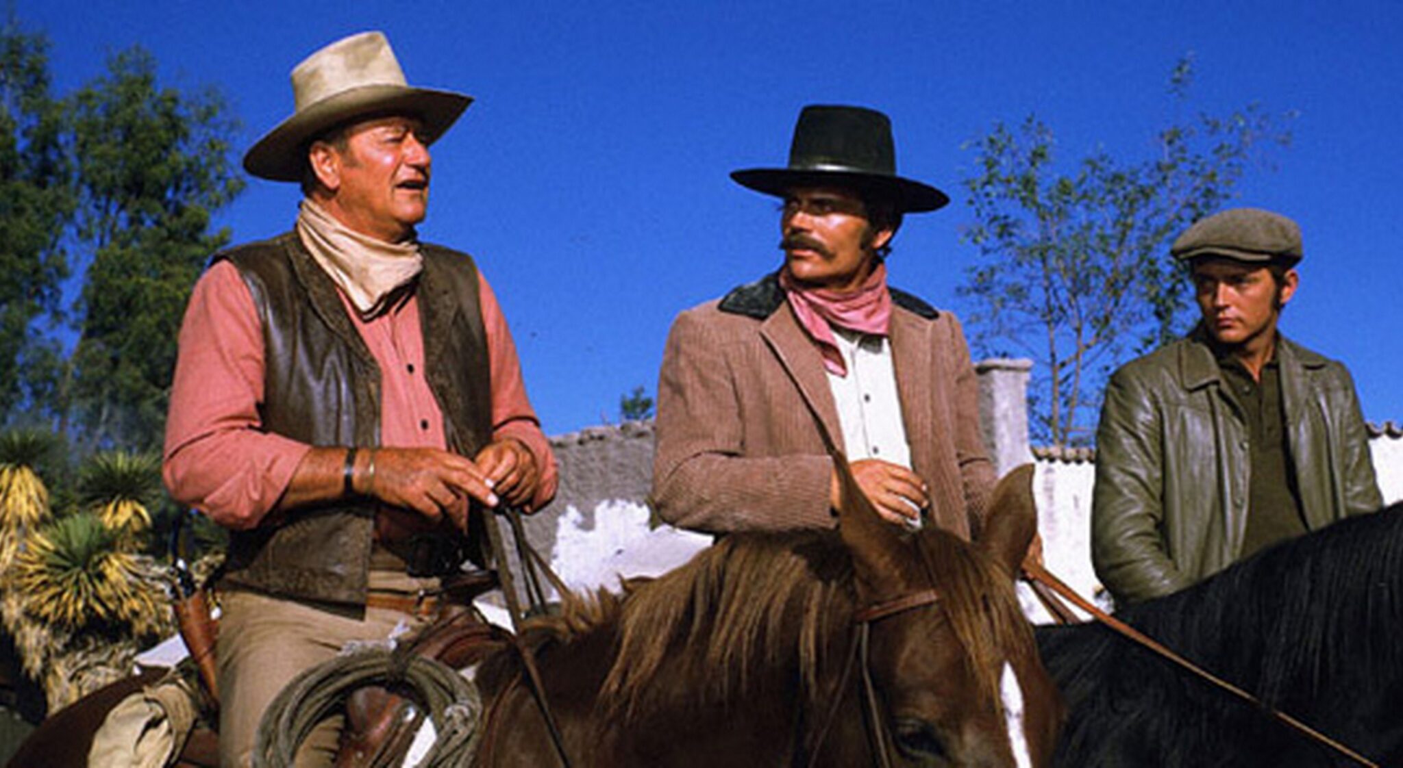 Patrick Wayne Movies Ultimate Movie Rankings
